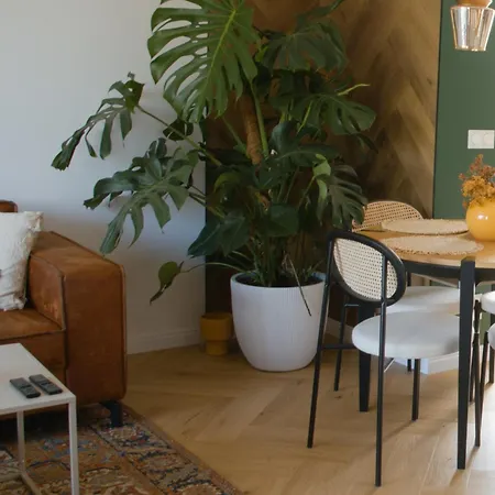 Apartment Boho Haven