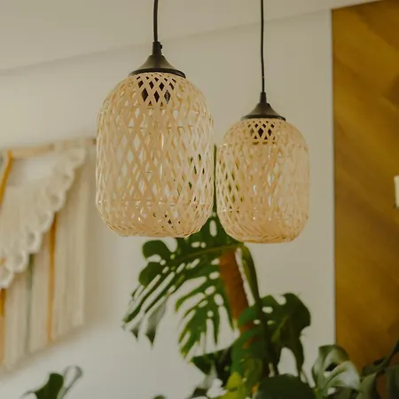 Apartment Boho Haven *